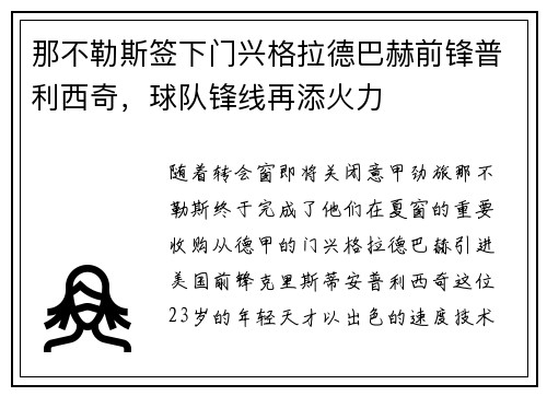 那不勒斯签下门兴格拉德巴赫前锋普利西奇，球队锋线再添火力