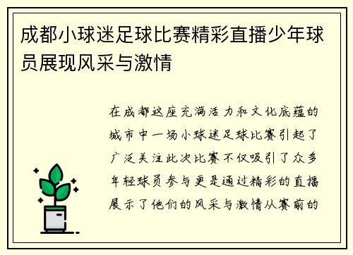 成都小球迷足球比赛精彩直播少年球员展现风采与激情